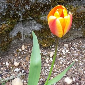 Meet your Posher, Jen